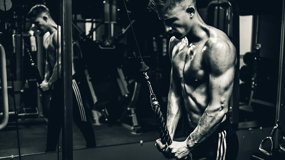 cómo ganar músculo siendo ectomorfo