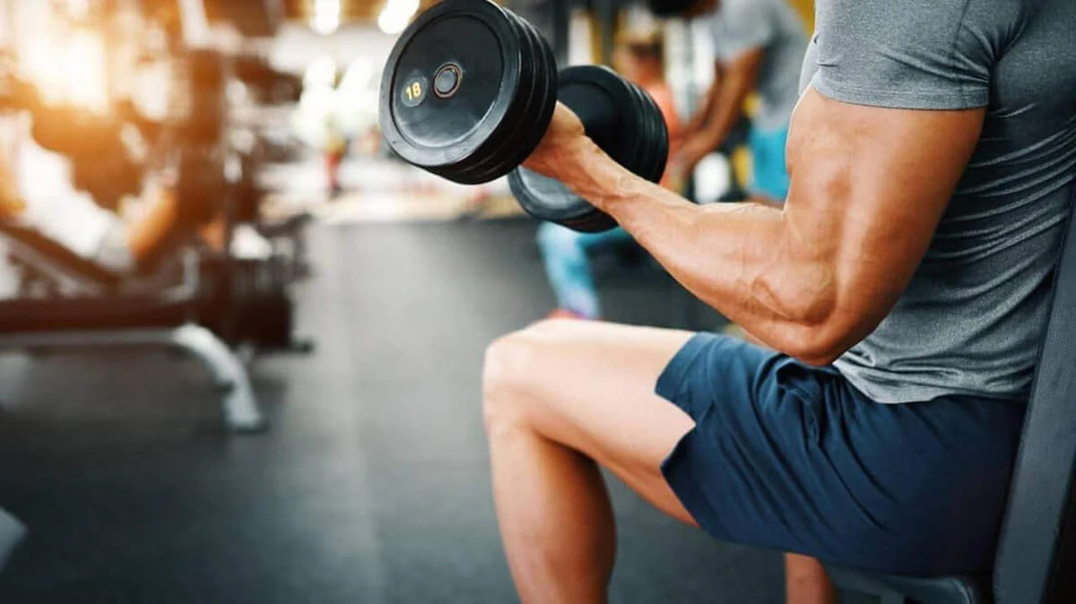 ganar músculo sarcopenia